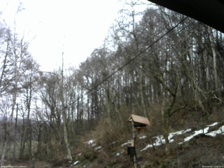 長野県菅平高原 ゆたか山荘 温度計 2026/04/01 10:00