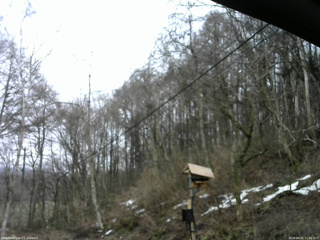 長野県菅平高原 ゆたか山荘 温度計 2026/04/01 11:00