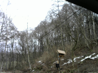 長野県菅平高原 ゆたか山荘 温度計 2026/04/01 11:15