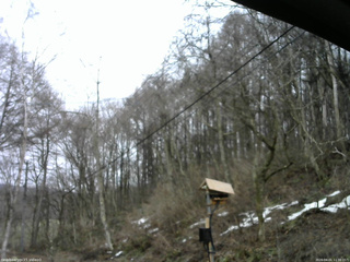 長野県菅平高原 ゆたか山荘 温度計 2026/04/01 11:30