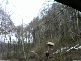 長野県菅平高原 ゆたか山荘 温度計 2026/04/01 11:45