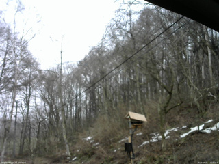 長野県菅平高原 ゆたか山荘 温度計 2026/04/01 12:15