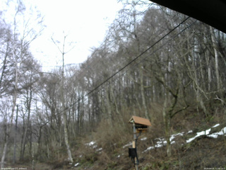 長野県菅平高原 ゆたか山荘 温度計 2026/04/01 12:45