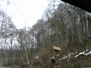 長野県菅平高原 ゆたか山荘 温度計 2026/04/01 13:00