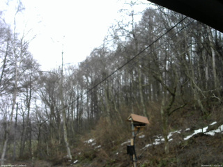 長野県菅平高原 ゆたか山荘 温度計 2026/04/01 13:15