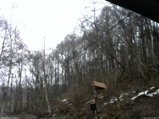 長野県菅平高原 ゆたか山荘 温度計 2026/04/01 13:30