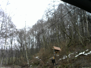 長野県菅平高原 ゆたか山荘 温度計 2026/04/01 13:45