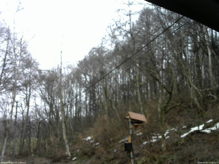 長野県菅平高原 ゆたか山荘 温度計 2026/04/01 14:00