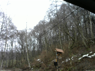 長野県菅平高原 ゆたか山荘 温度計 2026/04/01 14:30