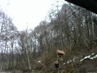 長野県菅平高原 ゆたか山荘 温度計 2026/04/01 14:45