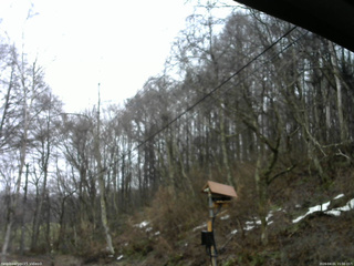 長野県菅平高原 ゆたか山荘 温度計 2026/04/01 15:00