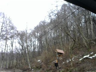 長野県菅平高原 ゆたか山荘 温度計 2026/04/01 15:15