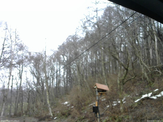 長野県菅平高原 ゆたか山荘 温度計 2026/04/01 15:30