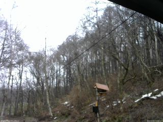 長野県菅平高原 ゆたか山荘 温度計 2026/04/01 16:00