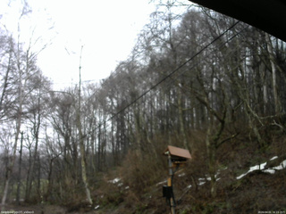 長野県菅平高原 ゆたか山荘 温度計 2026/04/01 16:15