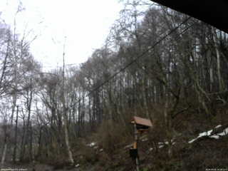 長野県菅平高原 ゆたか山荘 温度計 2026/04/01 16:30