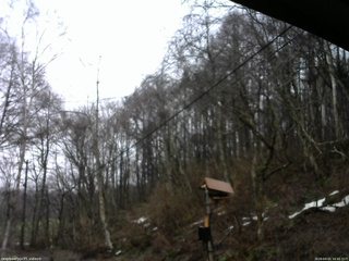 長野県菅平高原 ゆたか山荘 温度計 2026/04/01 16:45