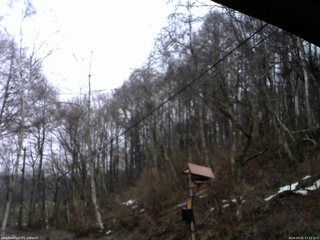 長野県菅平高原 ゆたか山荘 温度計 2026/04/01 17:15