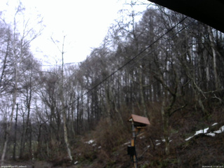 長野県菅平高原 ゆたか山荘 温度計 2026/04/01 17:30