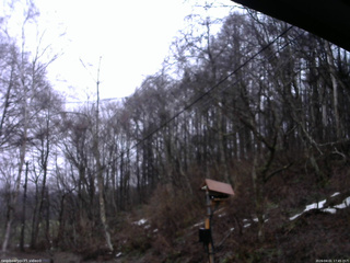 長野県菅平高原 ゆたか山荘 温度計 2026/04/01 17:45