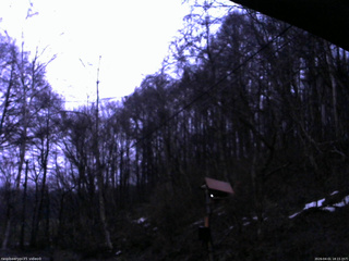 長野県菅平高原 ゆたか山荘 温度計 2026/04/01 18:15