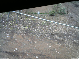 長野県菅平高原 ゆたか山荘 駐車場 2026/04/01 12:30