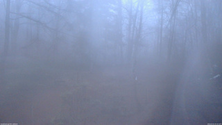 長野県菅平高原 ゆたか山荘 坂上 2026/04/01 05:30