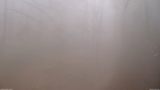 長野県菅平高原 ゆたか山荘 坂上 2026/04/01 06:45