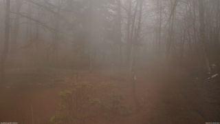 長野県菅平高原 ゆたか山荘 坂上 2026/04/01 08:00