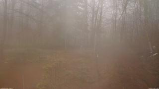 長野県菅平高原 ゆたか山荘 坂上 2026/04/01 08:15