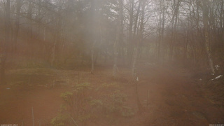 長野県菅平高原 ゆたか山荘 坂上 2026/04/01 08:30