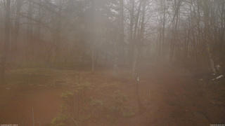 長野県菅平高原 ゆたか山荘 坂上 2026/04/01 08:45