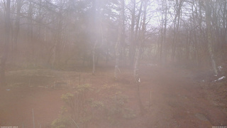 長野県菅平高原 ゆたか山荘 坂上 2026/04/01 09:00