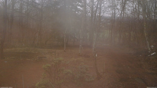 長野県菅平高原 ゆたか山荘 坂上 2026/04/01 09:45