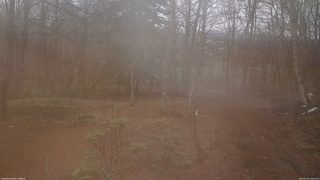 長野県菅平高原 ゆたか山荘 坂上 2026/04/01 10:00