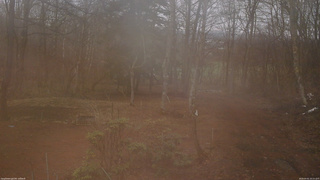 長野県菅平高原 ゆたか山荘 坂上 2026/04/01 10:15