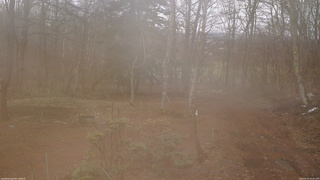 長野県菅平高原 ゆたか山荘 坂上 2026/04/01 10:45