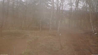 長野県菅平高原 ゆたか山荘 坂上 2026/04/01 11:00