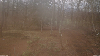 長野県菅平高原 ゆたか山荘 坂上 2026/04/01 11:15