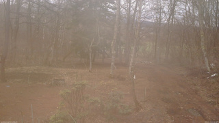 長野県菅平高原 ゆたか山荘 坂上 2026/04/01 11:30