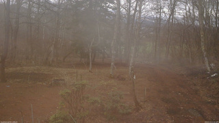 長野県菅平高原 ゆたか山荘 坂上 2026/04/01 11:45