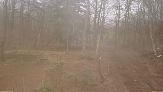 長野県菅平高原 ゆたか山荘 坂上 2026/04/01 12:00