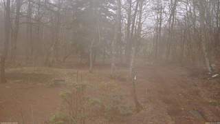 長野県菅平高原 ゆたか山荘 坂上 2026/04/01 12:15