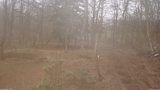 長野県菅平高原 ゆたか山荘 坂上 2026/04/01 12:30