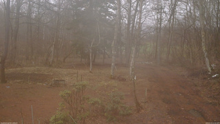 長野県菅平高原 ゆたか山荘 坂上 2026/04/01 12:45