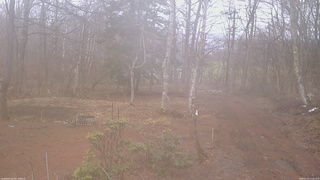 長野県菅平高原 ゆたか山荘 坂上 2026/04/01 13:00