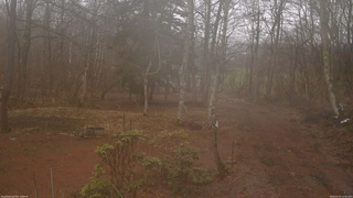 長野県菅平高原 ゆたか山荘 坂上 2026/04/01 14:00