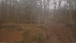 長野県菅平高原 ゆたか山荘 坂上 2026/04/01 14:15