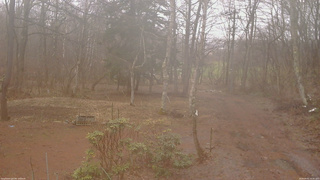 長野県菅平高原 ゆたか山荘 坂上 2026/04/01 14:45