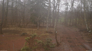 長野県菅平高原 ゆたか山荘 坂上 2026/04/01 15:15